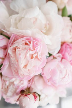 Cam vazo içinde sunulan güzel çiçekler. Beyaz ve pembe peonies güzel buket. Çiçek kompozisyon, gün ışığı. Yaz duvar kağıdı. Pastel renkler