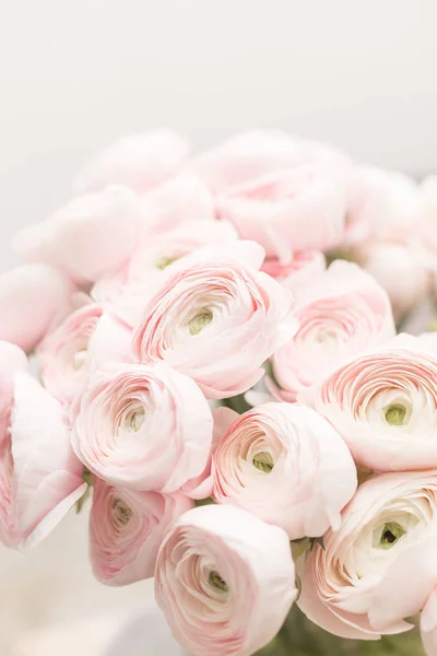 Taza de mantequilla persa. Ramo de flores ranúnculo rosa pálido fondo claro. Fondos de pantalla, Fotografía horizontal —  Fotos de Stock