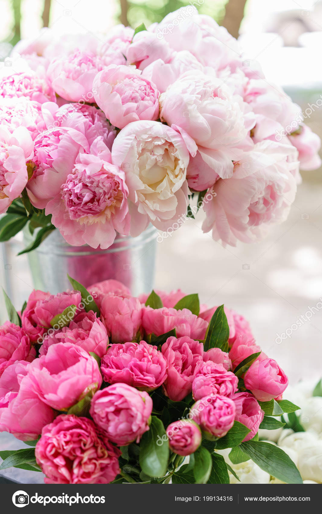 Lovely flowers in glass vase. Beautiful bouquet of pink peonies ...