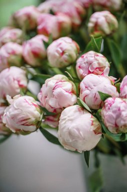 topları bud. Cam vazo içinde sunulan güzel çiçekler. Pembe peonies güzel buket. Çiçek kompozisyon, sahne, gün ışığı. Duvar kağıdı