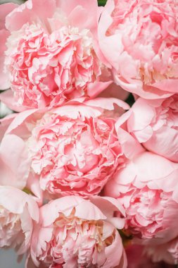 Cam vazo içinde sunulan güzel çiçekler. Pembe peonies güzel buket. Çiçek kompozisyon, sahne, gün ışığı. Duvar kağıdı