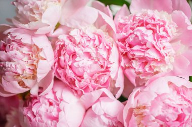 Cam vazo içinde sunulan güzel çiçekler. Pembe peonies güzel buket. Çiçek kompozisyon, sahne, gün ışığı. Duvar kağıdı