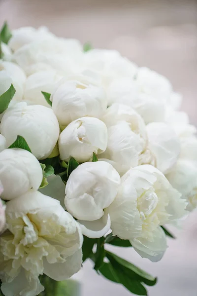 Прекрасные цветы в стеклянной вазе. Прекрасный букет белых пионов. Цветочный состав, сцена, дневной свет. Обои — стоковое фото