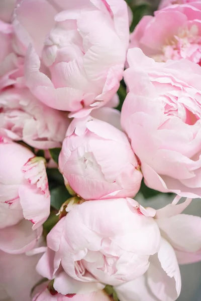 Lovely flowers in glass vase. Beautiful bouquet of pink peonies . Floral composition, scene, daylight. Wallpaper — Stock Photo, Image