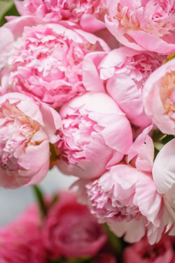 Cam vazo içinde sunulan güzel çiçekler. Pembe peonies güzel buket. Çiçek kompozisyon, sahne, gün ışığı. Duvar kağıdı