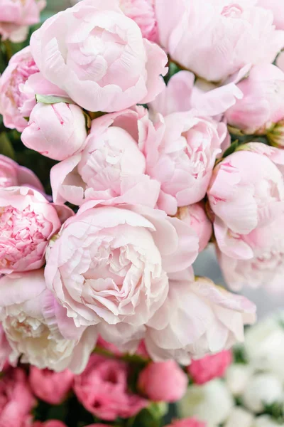 Mooie bloemen in glasvaas. Mooi boeket van roze pioenrozen. Floral samenstelling, scène, daglicht. Behang — Stockfoto