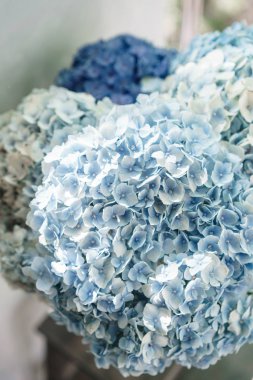 bir tabloda bir vazoda çiçekler güzel ortanca. Işık mavi, Lila ve pembe çiçek buketi. Ev dekorasyon. Duvar kağıdı ve arka plan. Dikey fotoğraf