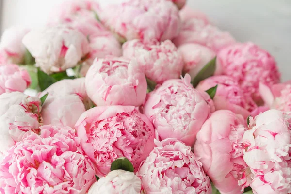 Pembe peonies güzel buket. Çiçek kompozisyon, gün ışığı. Duvar kağıdı. Cam vazo içinde sunulan güzel çiçekler.