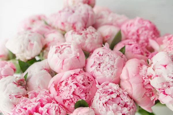 Wallpaper. Bunga indah peonies merah muda. Komposisi bunga, siang hari . — Stok Foto