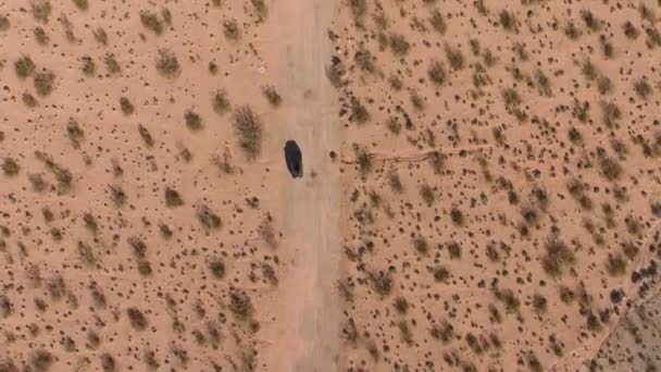 Vlucht boven lange weg in monument valley in Utah - Drone vanuit de lucht over auto's in Arizona. Top uitzicht drone beelden vliegen over droog en beige woestijn, droogte resulteerde landschap, opwarming van de aarde van bedreiging — Stockvideo