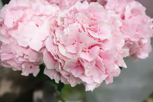 Licht roze hydrangea bloemen in vaas op houten tafel. Mooie zomerse boeket. Regeling met mix bloemen. Het concept van een bloemenwinkel. Inhoud voor de catalogus — Stockfoto