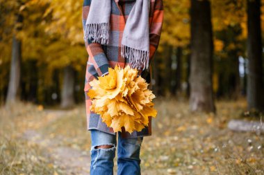 Sarı yapraklar üzerinde odaklanın. Esmer kadın şık kareli ceket ve eşarp sonbahar park.