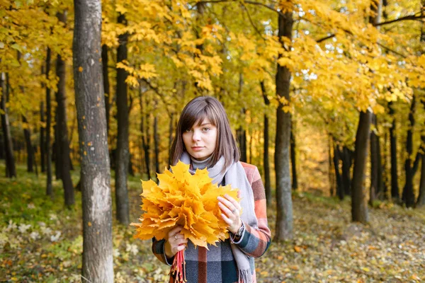 Porträt einer jungen Modefrau im Freien. brünette Frau im Herbstpark mit modischem karierten Mantel und Schal. mit gelben Blättern — Stockfoto