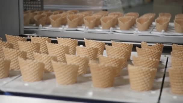 De automatische transportband regels voor de productie van ijs kegels. Wafer bekers en kegels. Grote industriële productie. Een belangrijke leverancier van ijs op de retail-netwerk — Stockvideo