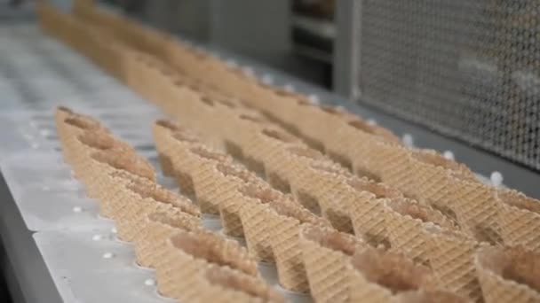 Las líneas automáticas transportadoras para la producción de conos de helado. Copas de obleas y conos. Gran producción industrial. Un importante proveedor de helados a la red minorista — Vídeo de stock