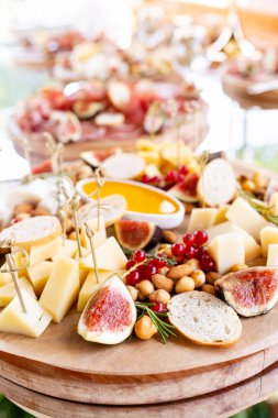 Peynir tabağı. Lezzetli peynir karışımı baget kruton, frenk üzümü, tatlı incir, badem, bal ahşap masa üzerinde. Ahşap bir tabakta yemek tatma. Yiyecek şarap için. Keçi peyniri, Parmesan, Gouda