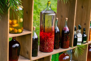 Tincture bottles of lemon, currant, berries and rowanberries. Herbal medicine. Spirits, wine and liqueur clipart
