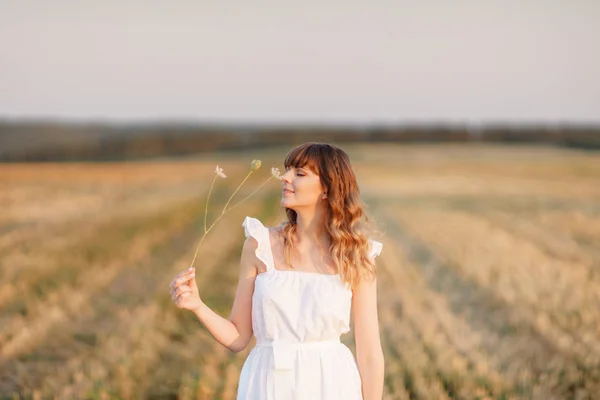 Flicka i vit klänning med spikelets. Kvinna i fältet plats för text. Spike och flicka i fältet. Sensommar och tidig höst. Augusti eller September — Stockfoto