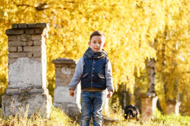 mutlu çocuk parkta yürüyor. Bright sonbahar günü. Sarı yapraklar ağaçlarıyla. Sıcak Ekim.