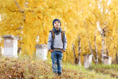 mutlu çocuk parkta yürüyor. Bright sonbahar günü. Sarı yapraklar ağaçlarıyla. Sıcak Ekim