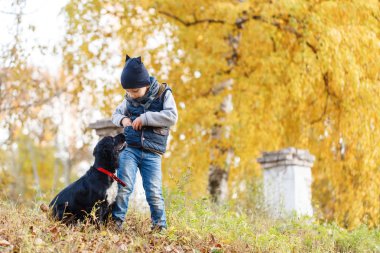bir siyah Rus Spaniel Park ile mutlu bir çocuk. Bright sonbahar günü. Sarı yapraklar ağaçlarıyla. Sıcak Ekim
