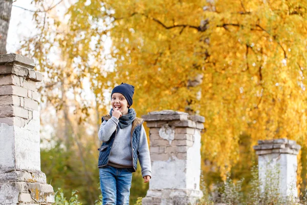 mutlu çocuk parkta yürüyor. Bright sonbahar günü. Sarı yapraklar ağaçlarıyla. Sıcak Ekim