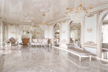 Konakta lüks ışık iç sabah. Lüks salon taş zeminler, şömine, kanepe ve sandalye ile parlak ve temiz iç tasarımı. Duvarlarda sıva