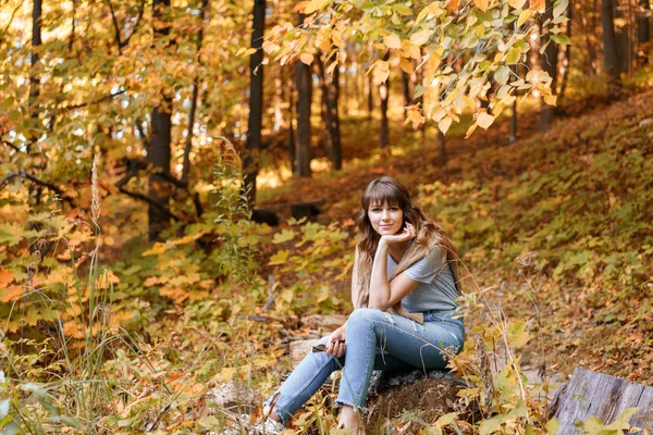Retrato de una joven en el parque de otoño sentada sobre un tronco de madera. Árboles con follaje amarillo en el fondo, hermosa luz del atardecer. Jersey caliente en los hombros —  Fotos de Stock