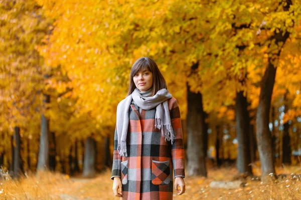 Portrait de jeune femme dans la forêt d'automne. Brunette femme dans le parc d'automne avec manteau à carreaux à la mode et écharpe . — Photo