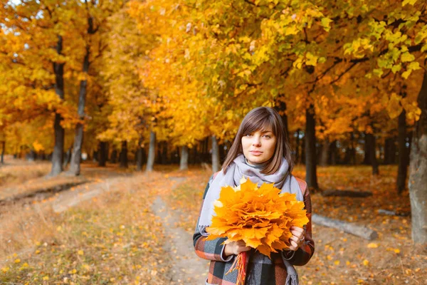 Porträt eines jungen Mädchens im Freien. Strauß mit gelben Blättern in ihren Händen. brünette Frau im Herbstpark mit modischem karierten Mantel und Schal. — Stockfoto