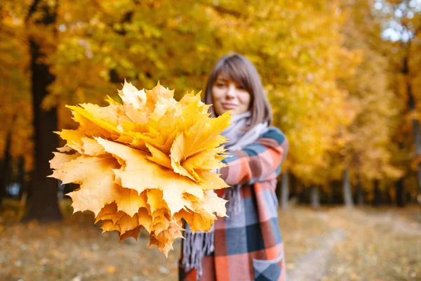 Céntrate en las hojas amarillas. Mujer morena en el parque de otoño con abrigo a cuadros de moda y bufanda . —  Fotos de Stock