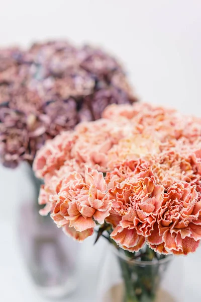 Bukett av nejlika blommor korall och persika färg. Vår bakgrund. Kryddnejlika gäng närvarande för mors dag. — Stockfoto