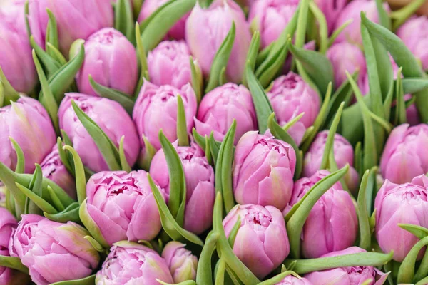 Schöner Bund fliederfarbener Tulpen in Kraftpapier. Geschenk für ein Mädchen. — Stockfoto