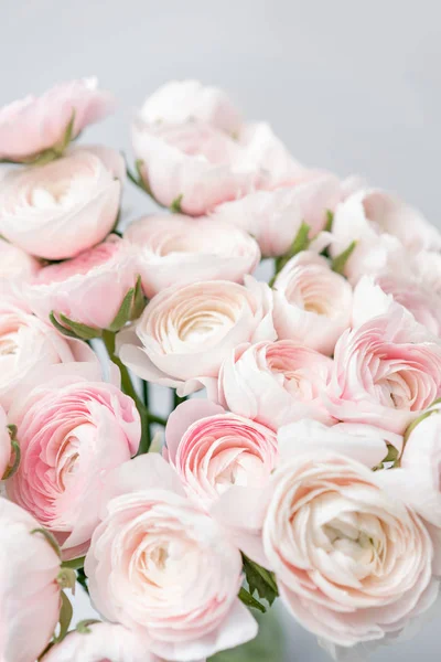Ranunculus asiaticus o Persian Buttercup. Ramo de flores de color rosa pastel. Fondo gris claro, jarrón de cristal. Fondo de pantalla, flores textura —  Fotos de Stock
