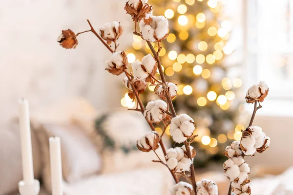 Florero con ramas de algodón. Salón luminoso con árbol de Navidad. Sofá cómodo, ventanas grandes altas — Foto de Stock
