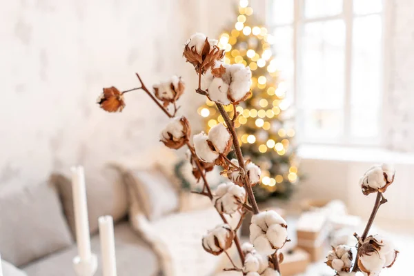 Váza s bavlnou větvemi. Lehké obývací pokoj s vánoční stromeček. Pohodlná pohovka, vysoká velká okna — Stock fotografie