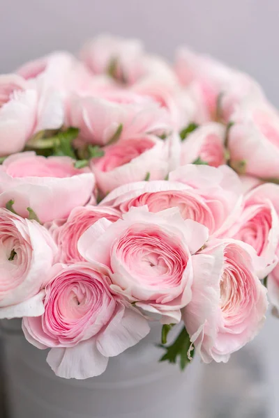 Ranunculus asiaticus or Persian Buttercup. Bunch of pastel pink blossom . Light gray background, metal vase. Wallpaper, flowers texture — Stock Photo, Image