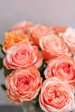 Gül pembe pastel renkler. Parlak buket metal kova içinde. çiçekçi dükkanı kavramı.