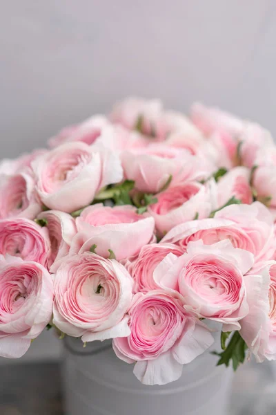 Ranunculus asiaticus o Persian Buttercup. Ramo de flores de color rosa pastel. Fondo gris claro, jarrón de metal. Fondo de pantalla, flores textura —  Fotos de Stock