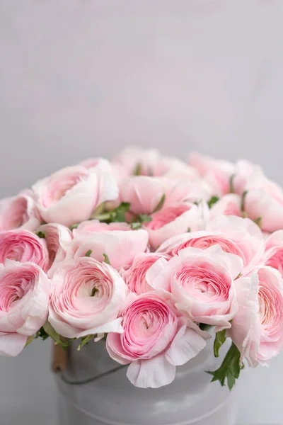 Ranúnculo asiático ou Buttercup persa. Um monte de flor rosa pastel. Fundo cinza claro, vaso de metal. Papel de parede, textura de flores — Fotografia de Stock