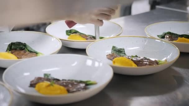 Closeup Linha de pratos pratos. Chefs de grupo ocupados na cozinha comercial do restaurante de jantar fino. Funcionários em um restaurante ou hotel cozinha cozinhar comida deliciosa, eles estão decorando os pratos — Vídeo de Stock