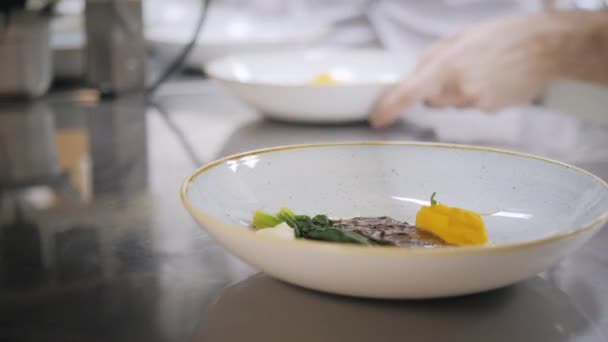 Gros plan Ligne de assiettes plats. Chefs de groupe occupés dans la cuisine commerciale du restaurant gastronomique. Le personnel d'un restaurant ou d'une cuisine d'hôtel cuisine délicieux, ils décorent les plats — Video