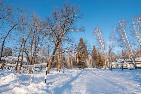 Αυγή παγωμένο πρωί. Χειμερινό τοπίο παγωμένο δέντρα, λευκό χιόνι και γαλάζιο ουρανό. Ήρεμο χειμώνα φύση στο φως του ήλιου στο πάρκο — Φωτογραφία Αρχείου