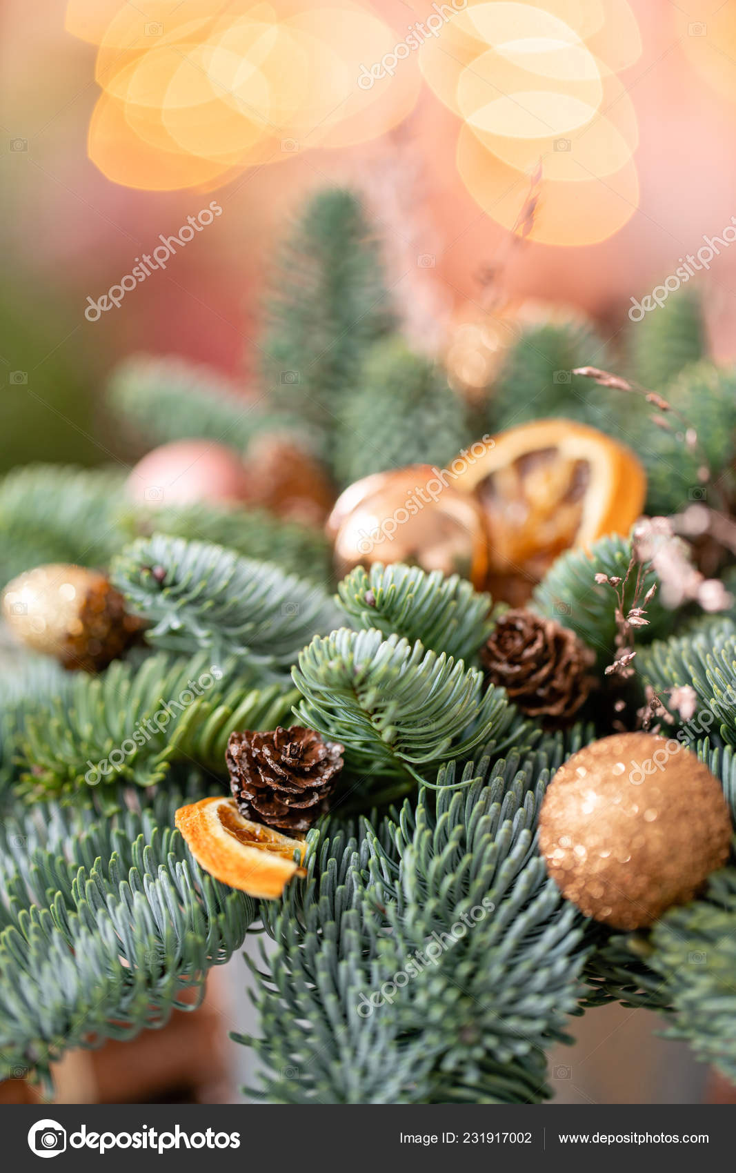 Christmas Arrangement With Norwegian Pine Nobilis And Decorated