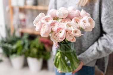 Kadın elinde cam vazo içinde Pers düğün çiçeği. Grup soluk pembe. bir çiçekçi bir çiçekçi dükkanı kavramı. Duvar kağıdı. Kış mevsim çiçekleri