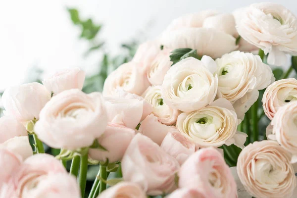 Персидский лютик в стеклянных вазах. Бледно-розовые цветки раннункулуса на светлом фоне. Обои. Зимний сезон цветов — стоковое фото