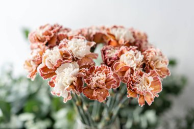 Olağandışı renk cam vazoda karanfil demet. Buket çiçek ışık arka plan üzerinde. . Duvar kağıdı.