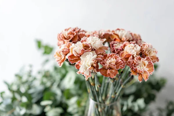 Bund ungewöhnliche Farbe Nelke in Glasvase. Blumenstrauß auf hellem Hintergrund. . Tapete. — Stockfoto