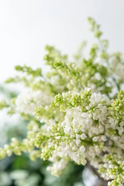 玻璃花瓶里的白色丁香明亮背景上的花束花。壁纸。春天开花的树 — 图库照片