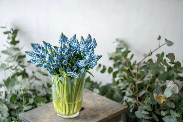 Flores bulbosas fotos de stock, imágenes de Flores bulbosas sin royalties | Depositphotos Flores bulbosas fotos de stock, imágenes de Flores bulbosas sin royalties | Depositphotos